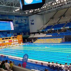 Blick auf das Schwimmbecken während der FINA Masters Championships, mit Anzeigetafel und Zuschauern im Hintergrund.