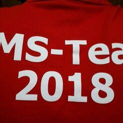 Roter Shirt-Rücken mit der weißen Aufschrift „DMS-Team 2018“ in großen Buchstaben.