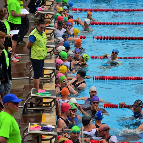 Zahlreiche Schwimmer mit farbigen Badekappen stehen in einem Wettkampfbecken, während Zuschauer am Rand beobachten.