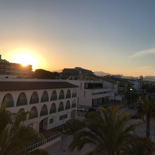 Sonnenaufgang über einer Küstenstadt mit modernen Gebäuden und Palmen im Vordergrund.