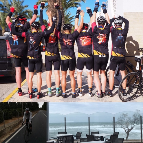 Gruppe von Radfahrern mit Hochgezogenen Händen in farbigen Trikots, stehend vor Palmen auf einem sonnigen Weg.