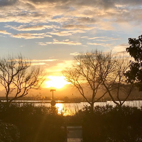 Sonnenuntergang über einem ruhigen Gewässer, umgeben von silhouettierten Bäumen und Sträuchern.