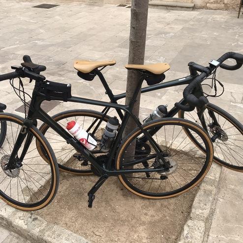 Zwei Rennräder mit braunen Sätteln stehen an einem Baum auf einem gepflasterten Platz.