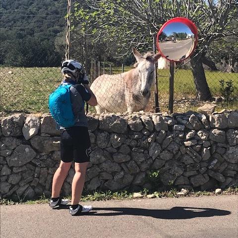 Radfahrer fotografiert ein Esel vor einem Zaun, im Hintergrund ein runder Verkehrsspiegel und Bäume.