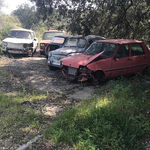 Ansammlung veralteter Autos, darunter ein rotes Fahrzeug, abgestimmt zwischen Büschen auf einem unbefestigten Weg.