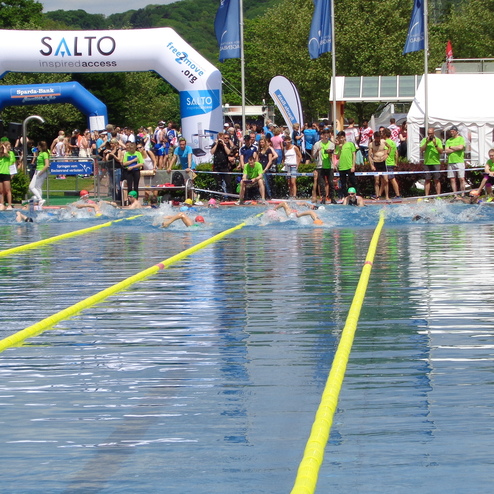 Schwimmer starten einen Wettkampf in einem Becken mit gelben Bahnmarkierungen und Zuschauern am Rand.