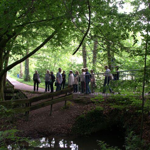 Gruppe von Menschen steht an einem Waldweg, umgeben von Bäumen und grüner Vegetation, neben einem kleinen Wasserlauf.