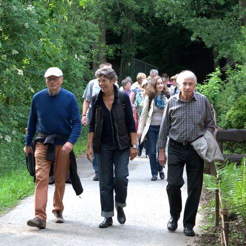 Gruppe von Menschen spaziert auf einem Weg durch einen Wald, umgeben von Bäumen und Sträuchern.