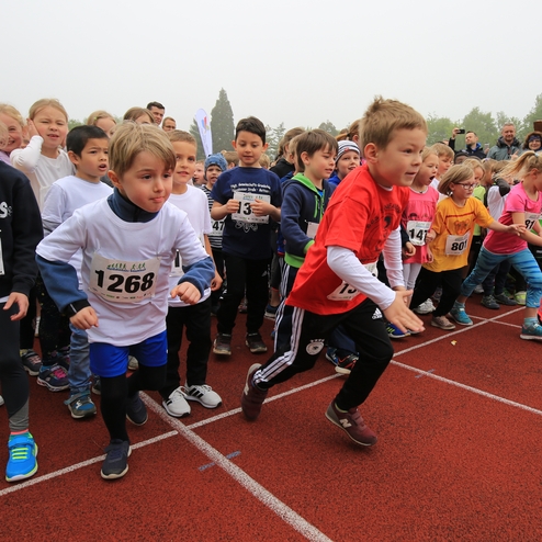 Kinder in Laufkleidung stehen an der Startlinie eines Wettlaufs auf einer roten Bahn, bereit zum Start.