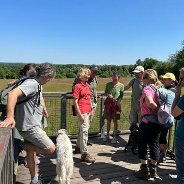 Gruppe von Menschen, darunter Hunde, bei einer Besprechung auf einer Plattform mit Blick auf eine grüne Landschaft.
