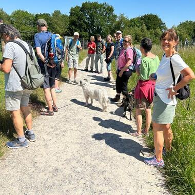 Gruppe von Menschen samt Hunden auf einem Weg, umgeben von Wiesen und Bäumen an einem sonnigen Tag.