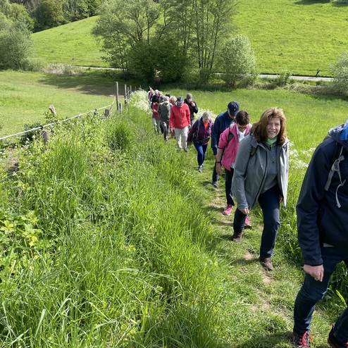 Gruppe von Wanderern auf einem Pfad durch eine grüne Wiesenlandschaft, umgeben von Bäumen und Sträuchern.
