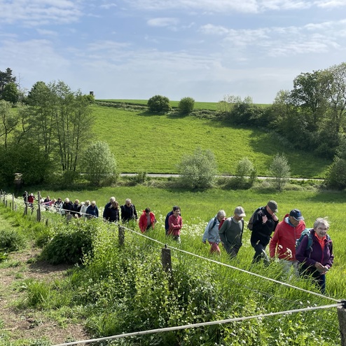 Gruppe von Wanderern auf einem Pfad in einem grünen Landschaftsgebiet, umgeben von Bäumen und Wiesen.