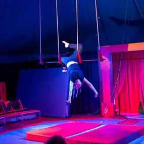 Akrobatin hängt kopfüber an Tragestäben in einem Zirkuszelt, beleuchtet von bunten Lichtern.