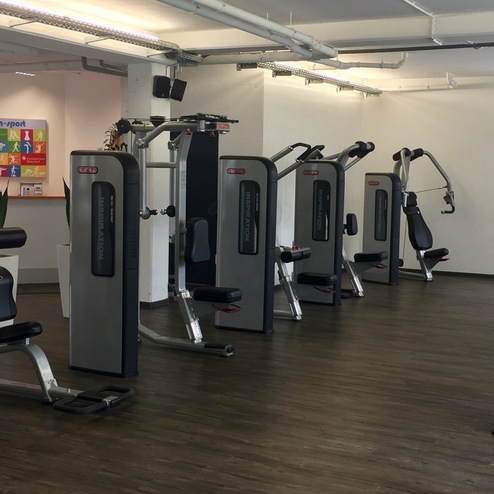 Fitnessstudio mit mehreren Krafttrainingsgeräten und Pflanzen in Töpfen auf einem Holzfußboden.