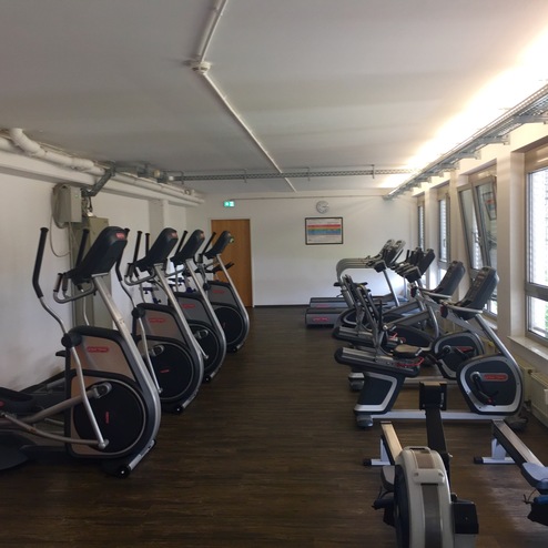 Fitnessraum mit mehreren Elipsentrainern und Rudergeräten, beleuchtet durch Tageslicht aus großen Fenstern.