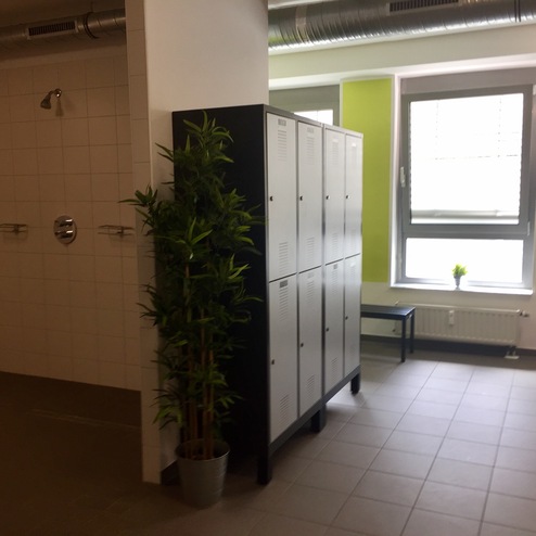 Duschbereich mit Handtuch-Haltern, Umkleidebänken, Schließfächern und Pflanzen in einem hellen Raum.
