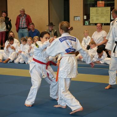 Zwei Kinder im Judoanzug k&auml;mpfen auf einer blauen Judomatte, w&auml;hrend Zuschauer im Hintergrund zuschauen.