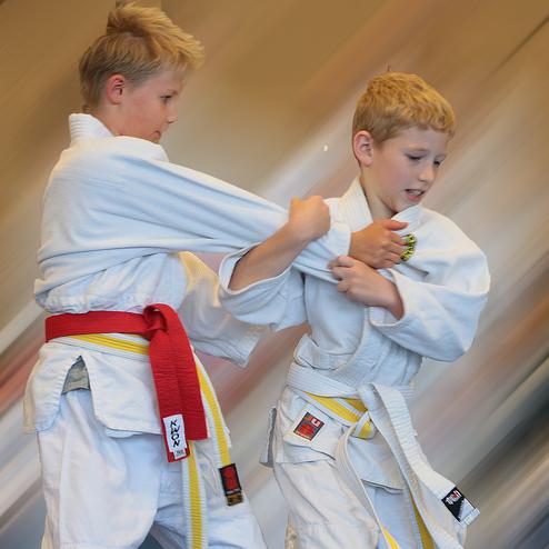 Zwei Kinder in Judoanzügen üben einen Halt, das eine Kind trägt einen roten Gürtel, das andere einen gelben Gürtel.