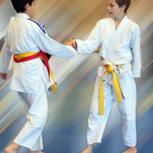 Zwei Jungen in weißen Judogis schütteln sich die Hände, einer mit rotem, der andere mit gelbem Gürtel.