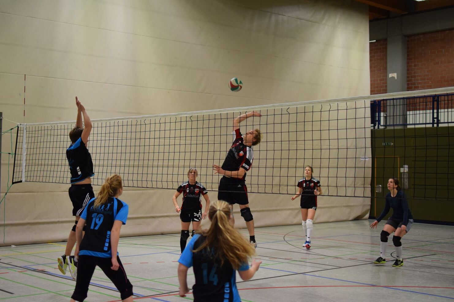 Volleyballspiel in Halle, ein Spieler springt zur Abwehr eines Aufschlags über dem Netz, andere Spieler in Bewegung.