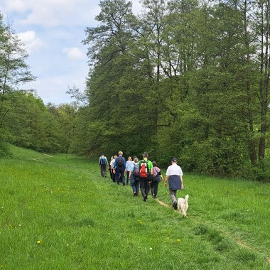 Gruppe von Wanderern mit Hund auf einem schmalen Weg, umgeben von üppigem Grün und Bäumen.