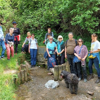 Gruppe von 14 Personen und zwei Hunden steht an einer Quelle, umgeben von üppigem Grün und Bäumen.