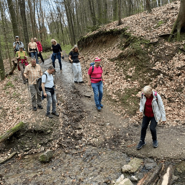 Wandergruppe überquert einen kleinen Bach auf einem schmalen Pfad durch einen laubigen Wald.