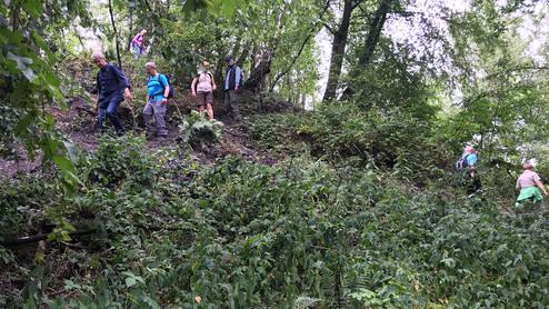 Gruppe von Wanderern auf einem schmalen Pfad zwischen dichtem, grünem Unterholz in einem Wald.