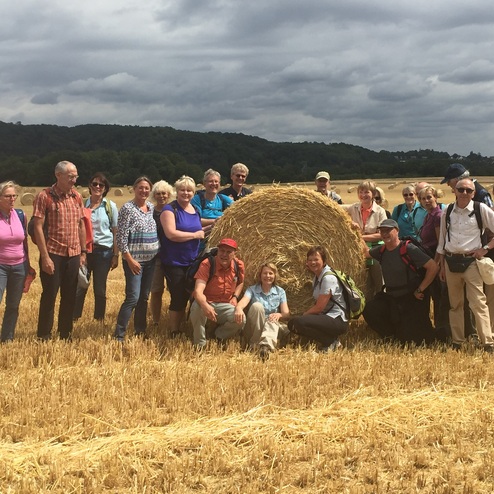 Gruppe von Wanderern posiert vor Heuballen auf einem goldenen Feld unter einem bewölkten Himmel.