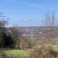 Blick auf eine Landschaft mit Bäumen, Wiesen und einer Stadt im Hintergrund unter blauem Himmel.