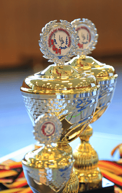 Zwei glänzende Pokale mit einem Emblem für einen Judowettbewerb auf einem Tisch mit dekorativem Hintergrund.