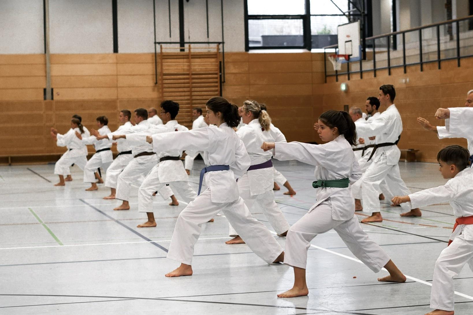 Gruppe von Karateka in weißen Gi, die synchron Techniken in einer Sporthalle ausführen.