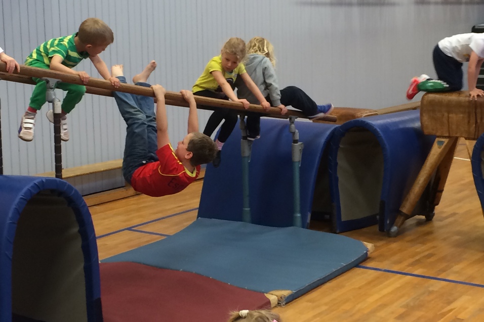 Sechs Kinder spielen in einer Turnhalle, klettern und hangeln an einem Ger&auml;test&auml;nder.