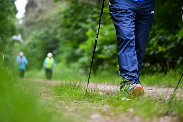Person beim Gehen auf einem Waldweg, umgeben von grüner Vegetation, mit Nordic Walking-Stöcken.