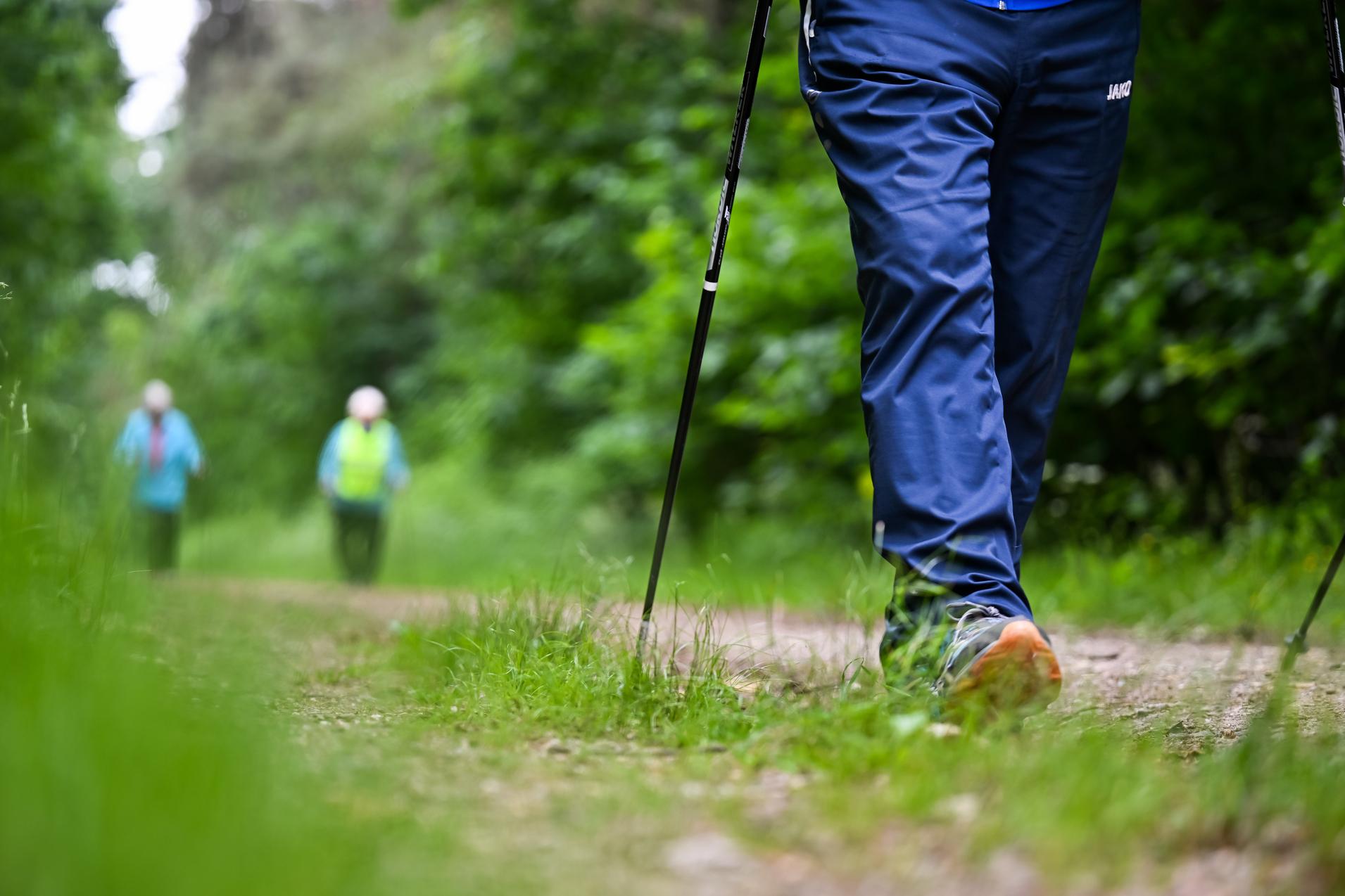 Person beim Gehen auf einem Waldweg, umgeben von grüner Vegetation, mit Nordic Walking-Stöcken.