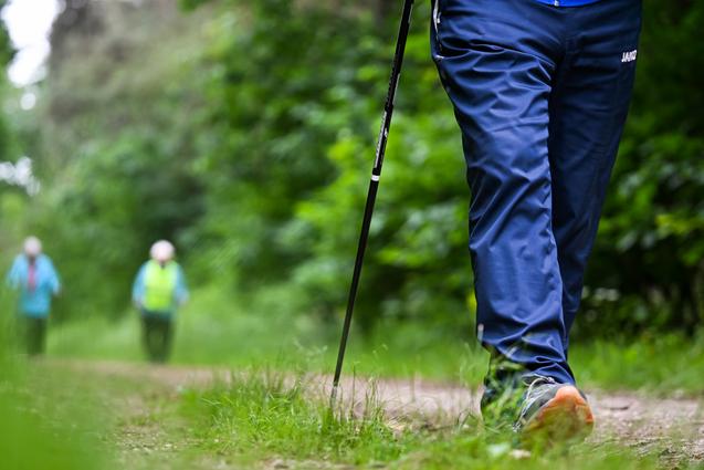 Person beim Gehen auf einem Waldweg, umgeben von grüner Vegetation, mit Nordic Walking-Stöcken.