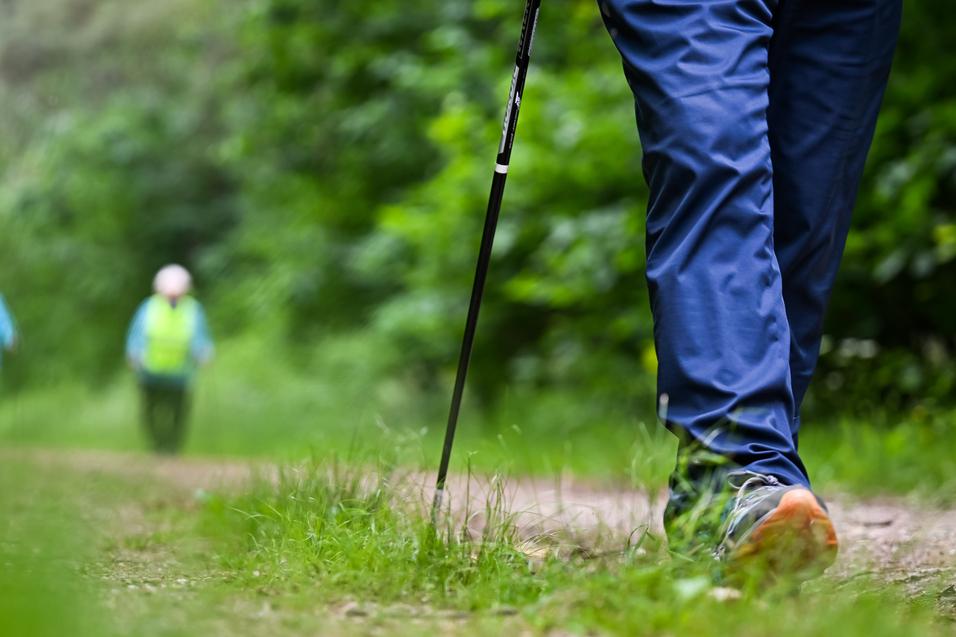 Person beim Gehen auf einem Waldweg, umgeben von gr&uuml;ner Vegetation, mit Nordic Walking-St&ouml;cken.