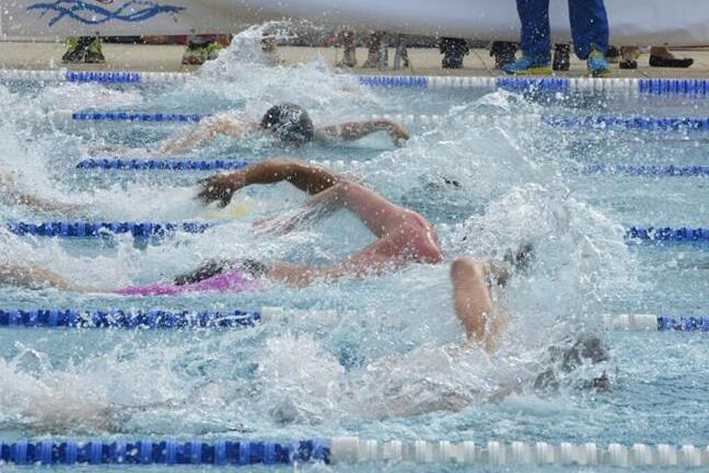 Schwimmer im Wettkampf spritzen Wasser auf einer wettkampforientierten Schwimmbahn, Zuschauer im Hintergrund.