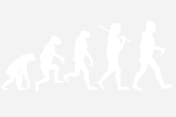 Silhouetten der menschlichen Evolution, von einem knienden Vorfahren bis zum aufrechten modernen Menschen.