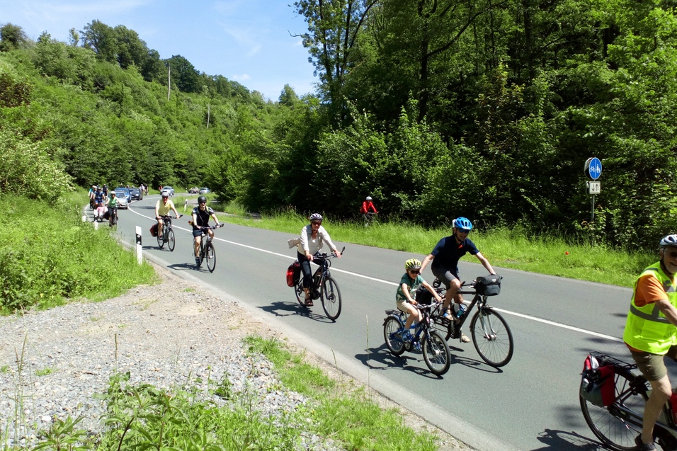 Gruppe von Radfahrern auf einer Straße, umgeben von Bäumen und grüner Landschaft, bei sonnigem Wetter.