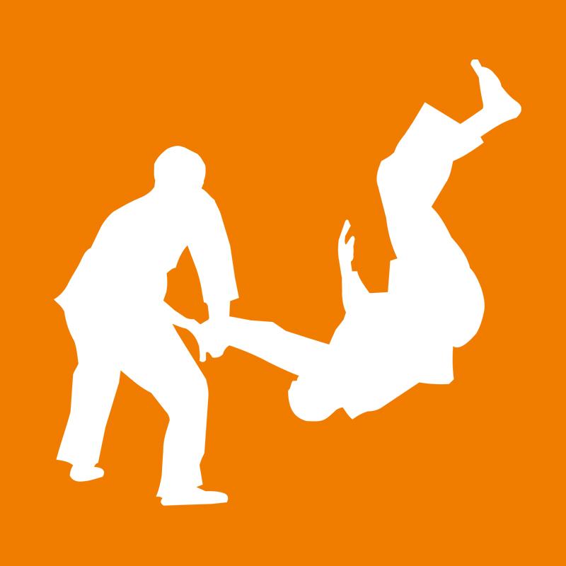 Oranger Hintergrund mit zwei weißen Silhouetten (männlich), die Wurftechniken ausüben.