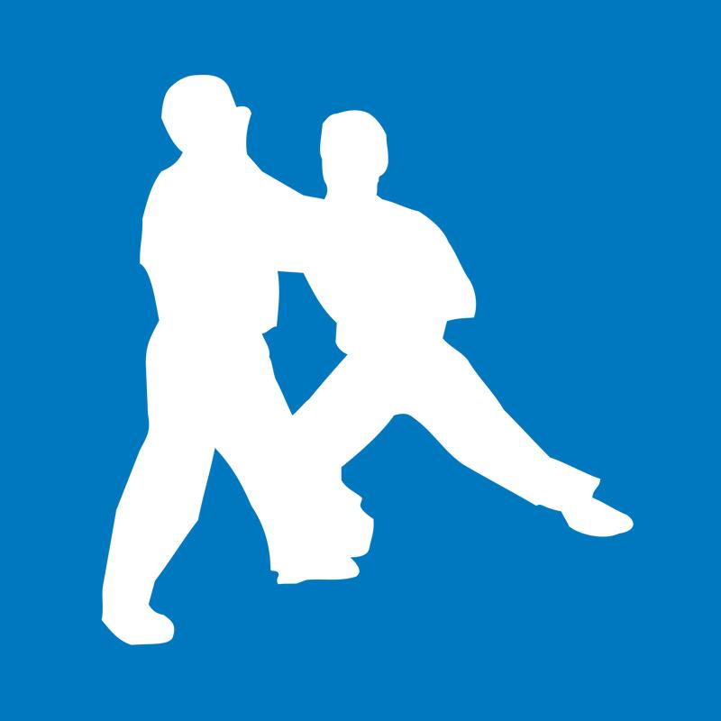 Blauer Hintergrund mit zwei weißen Silhouetten (männlich), die Kampfübungen im stehen zusammen ausüben.