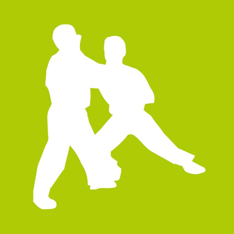 Hellgrüner Hintergrund mit zwei weißen Silhouetten (männlich), die Kampfübungen im stehen zusammen ausüben.