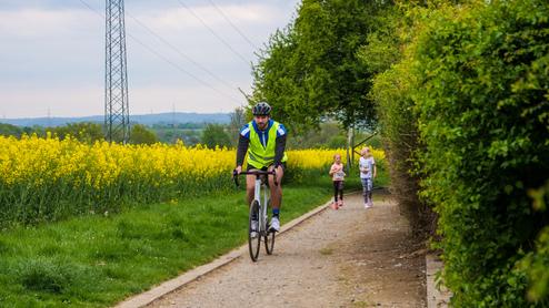Radfahrer in gelber Warnweste fährt auf einem Weg entlang blühender Rapsfelder, während Kinder joggen.