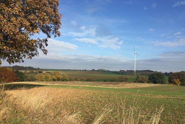 Herbstliche Landschaft mit grünen Feldern, einem Windrad und buntem Laubbaum im Vordergrund unter blauem Himmel.