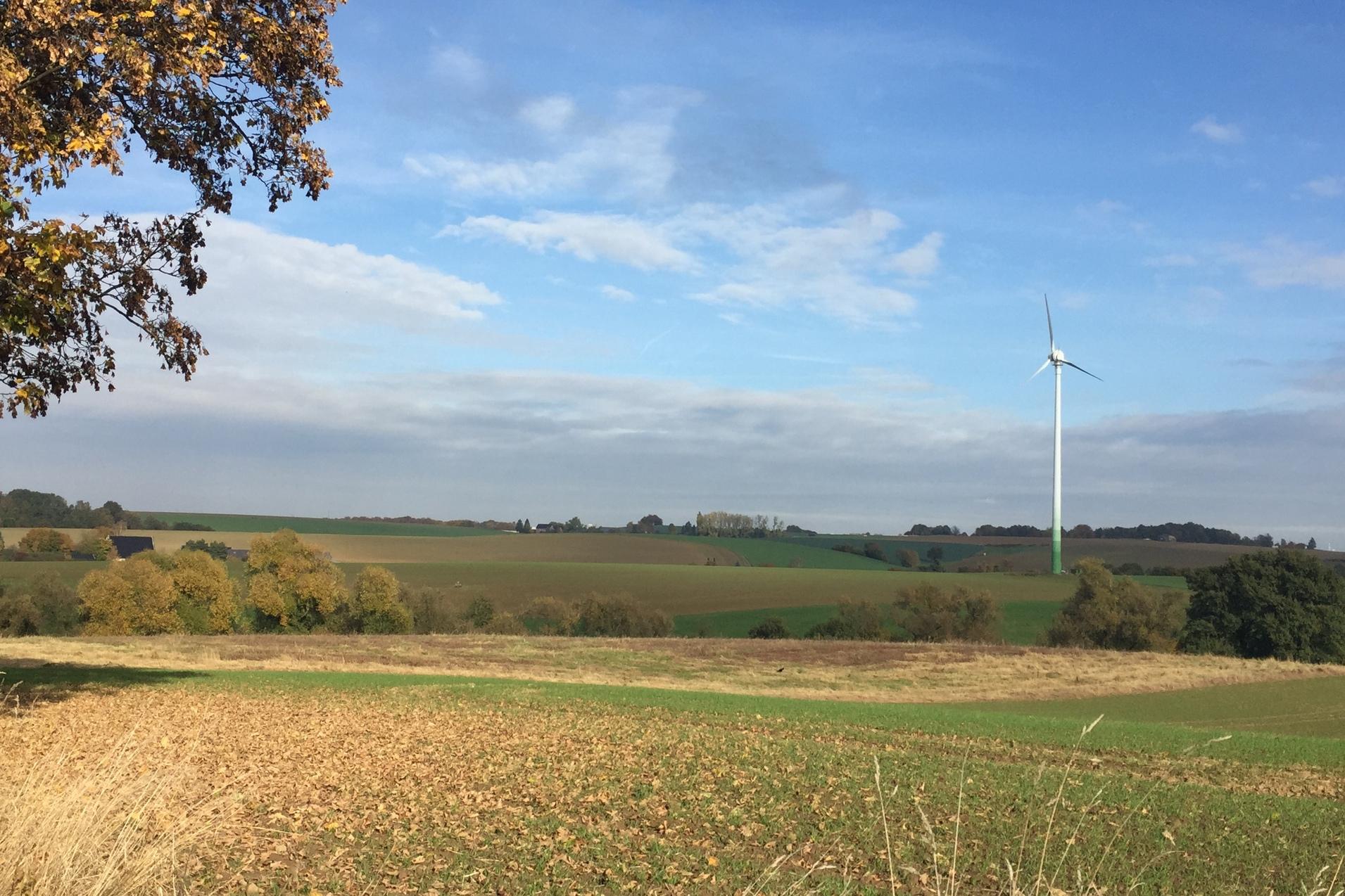 Herbstliche Landschaft mit grünen Feldern, einem Windrad und buntem Laubbaum im Vordergrund unter blauem Himmel.