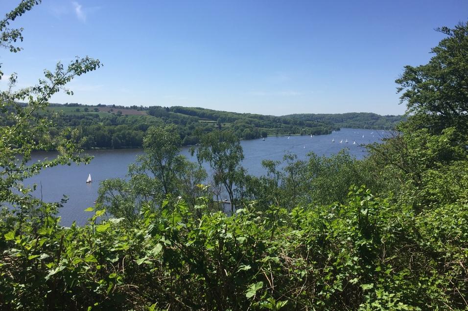 Ausblick auf einen Fluss mit Segelbooten, umgeben von grünen Bäumen und Hügeln unter einem blauen Himmel.