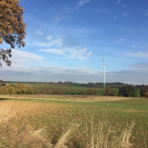Herbstliche Landschaft mit gr&uuml;nen Feldern, einem Windrad und buntem Laubbaum im Vordergrund unter blauem Himmel.