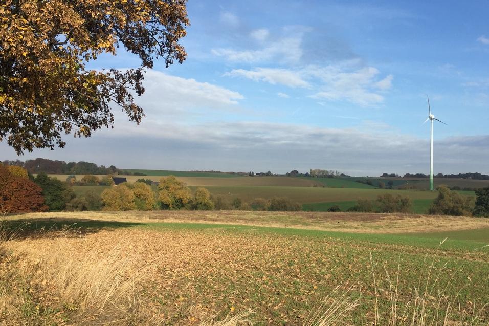 Herbstliche Landschaft mit grünen Feldern, einem Windrad und buntem Laubbaum im Vordergrund unter blauem Himmel.